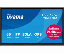ProLite TE6513A-B2AG